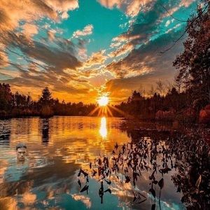 Meet your Posher, Allyssa